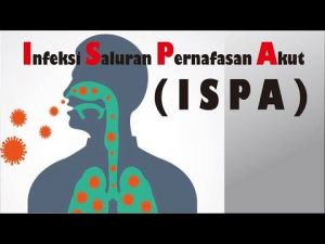 Sebaran Penyakit ISPA di Kota Jambi, Puskesmas Putri Ayu Terbanyak Capai 963 Kasus