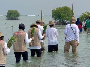 PetroChina Menanam Harapan Lewat Donasi 5.000 Mangrove