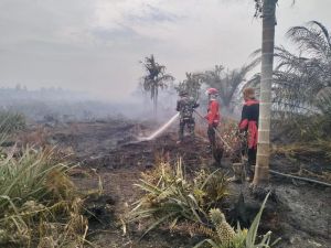 Memasuki Musim Hujan, Titik Api Masih Ditemukan 