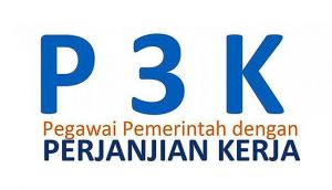 Cek Disini! Jadwal dan Lokasi Seleksi Kompetensi Untuk Ribuan Calon PPPK Kota Jambi