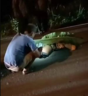 Makan Korban Lagi, Truk Batu Bara Tabrak Pemotor Hingga Tewas