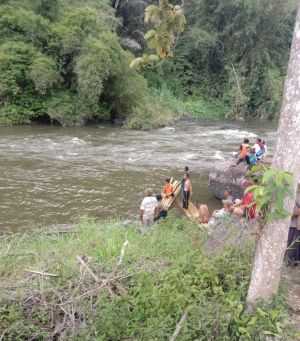 Diserang Lebah, Warga Kerinci Tewas Terjun ke Sungai Batang Merangin