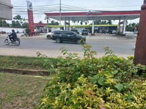 26 SPBU Nakal di Jambi Disanksi Pertamina Sejak Januari, Ini Pelanggaran yang Sering Terjadi