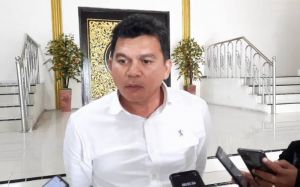 BUMD PT Siginjai Sakti 'Mati Suri', Dimodali Rp10 Miliar Tapi Tak Punya Kegiatan