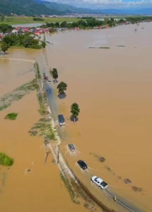 Dampak Banjir, Ribuan Hektar Sawah di Sungai Penuh Gagal Panen, Ini Rinciannya