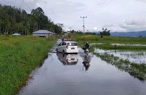 Ribuan Hektare Lahan Pertanian Terendam Banjir