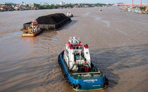 Ekspor Batu Bara Jambi Anjlok, Permintaan dari India Turun Drastis