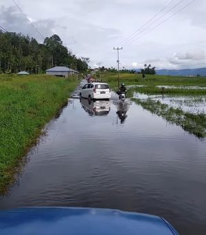 916,68 Hektare Sawah Gagal Panen Dampak Banjir, Hamparan Rawang dan Tanah Kampung Terparah