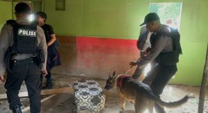 Polda Jambi Gerebek Rumah dan Base Camp Penyalahgunaan Narkoba di Tangkit dan Danau Sipin