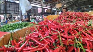 BI Sebut Inflasi Jambi Masih Terjaga Saat Idul Fitri