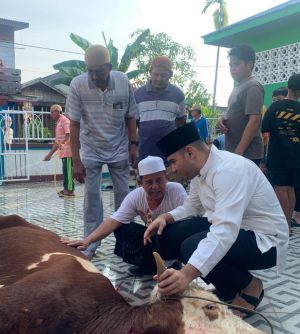 Rendra Usman Kurban Sapi Seberat 200 Kg Untuk Warga Kampung Nelayan Tanjabbar