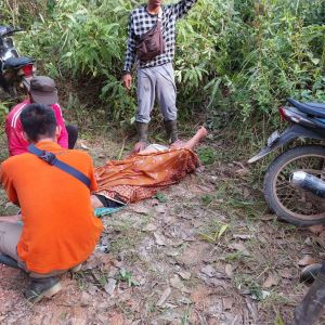 Gajah Ngamuk di Tanjab Barat, Tiga Warga Jadi Korban 
