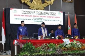 Hadiri Peringatan HUT Ke-25 Kabupaten Tebo, Sudirman: Peringatan Ulang Tahun Momentum Evaluasi