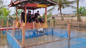 Dukung Swasembada Pangan, Satbrimob Polda Jambi Manfaatkan Lahan Tidur Buat Kolam Ikan & Berkebun