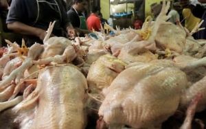 Inflasi Tertinggi Jambi Akibat Kenaikan Harga Daging Ayam