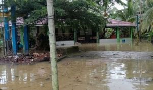Banjir Rob Terjang Sejumlah Daerah di Tanjabtim, Tiga Rumah Rusak Berat