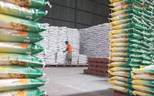 Jambi Butuh Capai 4 Ribu Ton Beras Tiap Bulan