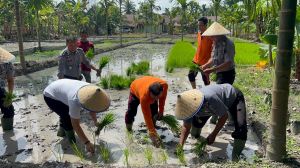 Dukung Ketahanan Pangan, Kakanwil Ditjenpas Jambi Tanam Padi
