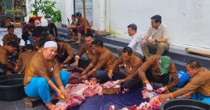 Kejati Jambi Sembelih 12 Ekor Sapi Kurban