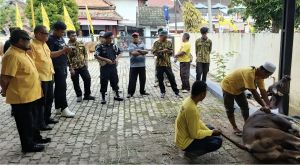 DPD Partai Golkar Provinsi Jambi Kurban 8 Ekor Sapi di Hari Raya Idul Adha 1446 H