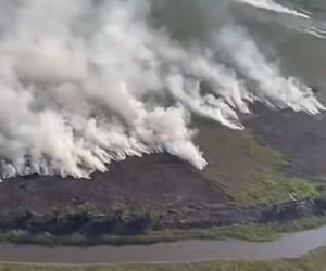 20 Hektare Lahan Gambut di Pematang Lumut Terbakar