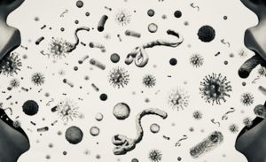 Tiga Jenis Penyakit Menular yang Patut Diwaspadai Saat Masuk Musim Hujan