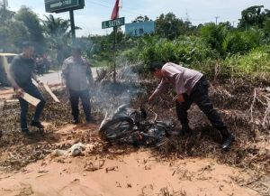 Warga Pijoan Tangkap Pencuri Buah Sawit, Motor Dibakar