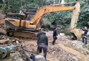 Walhi Jambi Ungkap 44.387 Hektare Hutan Rusak Akibat PETI