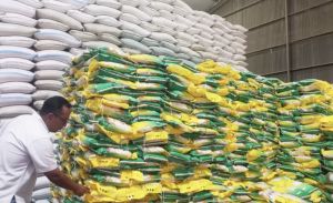 Bulog Pastikan Stok Pangan Cukup Penuhi Kebutuhan hingga Akhir Tahun