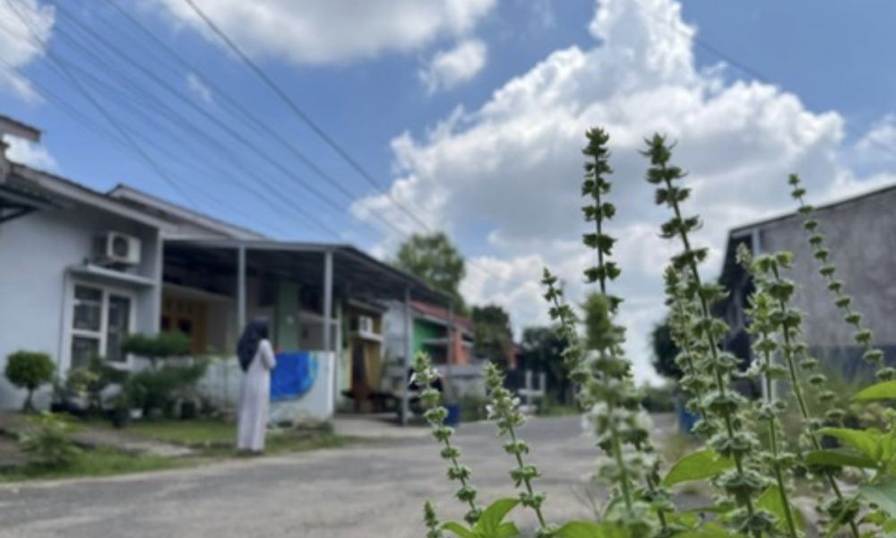 BMKG Ingatkan Kemarau Tahun Ini Lebih Kering Dibanding 30 Tahun Terakhir