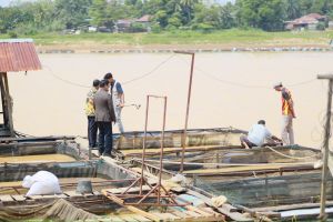 Puluhan Ton Ikan Milik Petani Keramba di Jaluko Mati