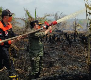 Puluhan Hektare Lahan Gambut di Muaro Jambi Terbakar