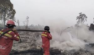 Karhutla Kembali Terjadi di Kumpeh, Upaya Pemadaman Terus Dilakukan