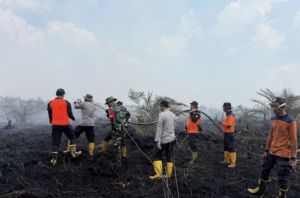 Karhutla di Sungai Gelam Kian Meluas, 170 Hektare Lahan Terbakar