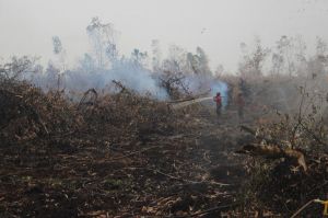 Penanganan Kasus Karhutla Korporasi Disorot, Ivan: Cepat ke Masyarakat, Lambat ke Perusahaan