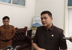 Respon Kebijakan Pengalihan Gaji PPPK ke Pusat, M Hafiz: Potensi Ruang Fiskal Bagi Daerah
