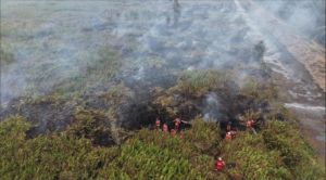 Karhutla Ancam Ketahanan Pangan, DPR Desak Perlindungan Petani dan Nelayan